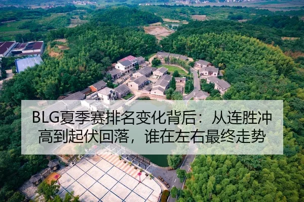BLG夏季赛排名变化背后：从连胜冲高到起伏回落，谁在左右最终走势